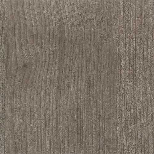 ELM WOOD
